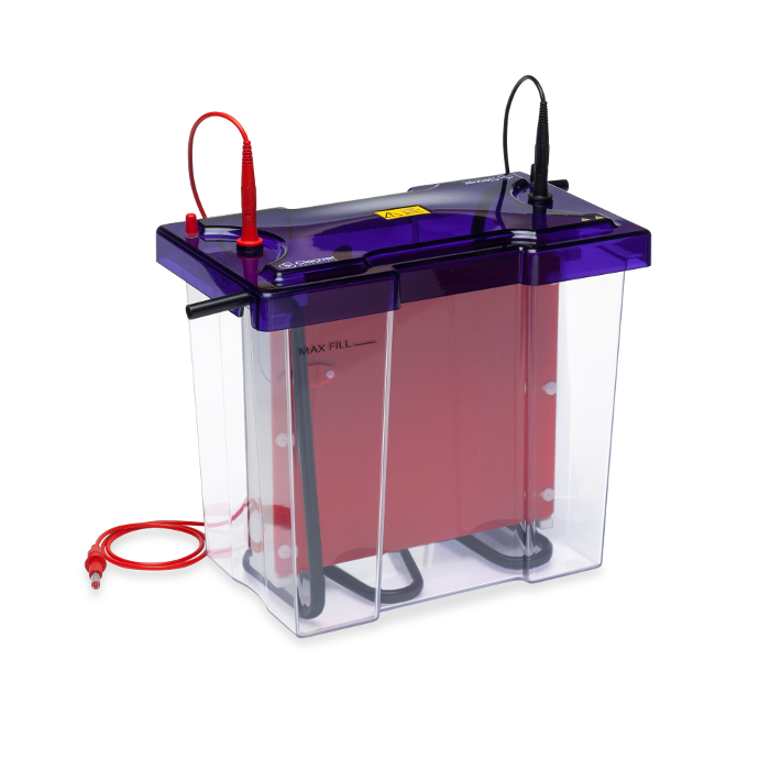 EasyPhor PAGE Wetblotter Maxi WAVE HI System 20x20