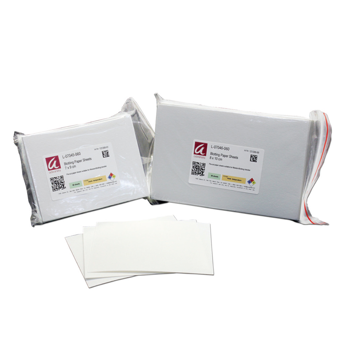 Blotting Papier (Transfer-Filter-Papier)