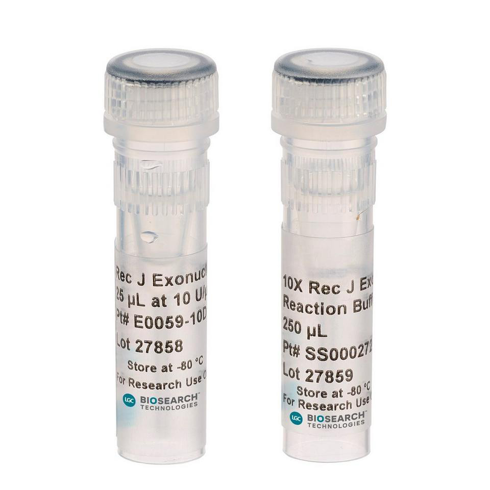 Rec J Exonuclease, 10 U/µl