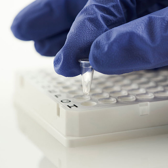 Individual Access 96 Well Skirted PCR Plate