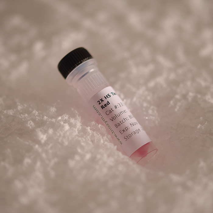 Biozym Red HS Master Mix