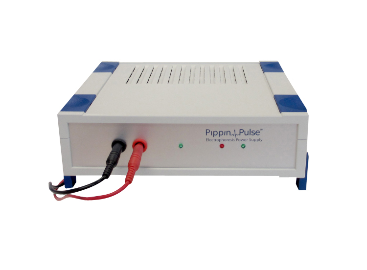 Pippin Pulse