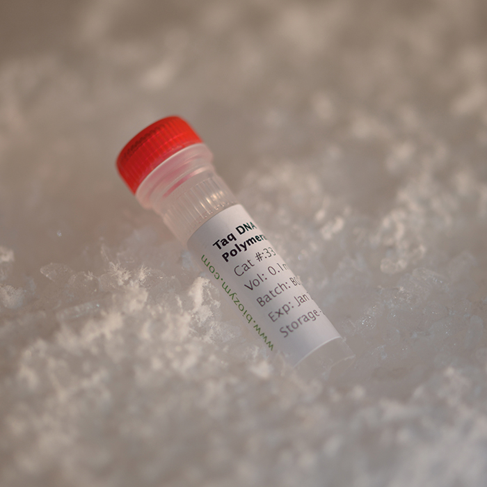 Biozym Taq DNA Polymerase, 5 U/µl