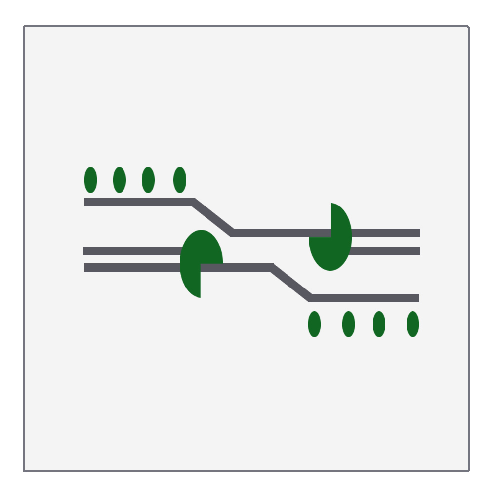 Recombinase Polymerase Reaktion