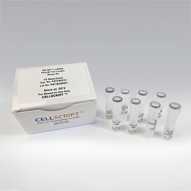 EZ-QC™ mRNA Poly(A) Tail Length Assay Kit