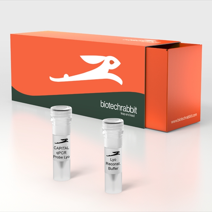 CAPITAL qPCR Probe Mix, lyophilized, 4×