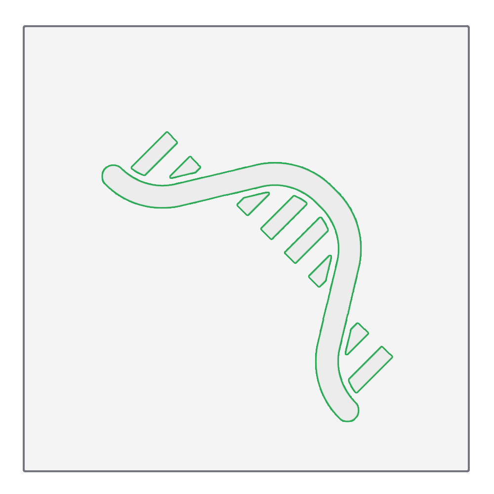 RNA