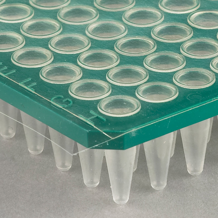 Adhesive Clear PCR Seal
