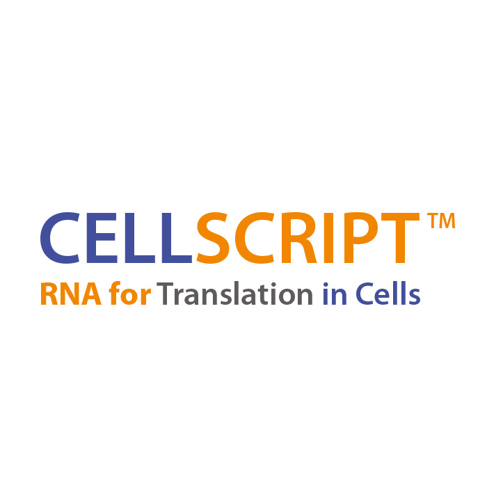 CellScript