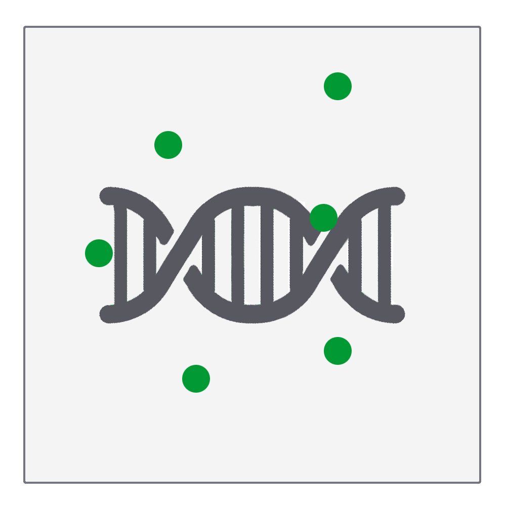 DNA und RNA Farbstoffe