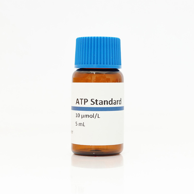 ATP Standard (10 µmol/l)