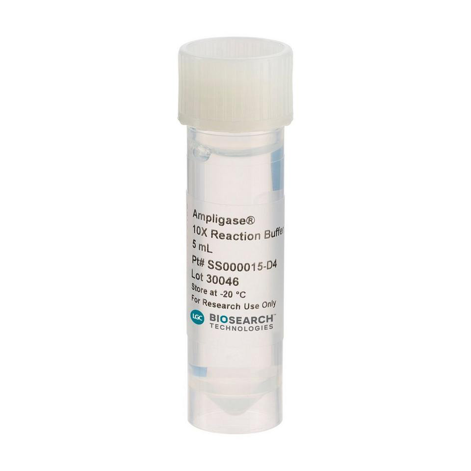 Ampligase 10X Puffer