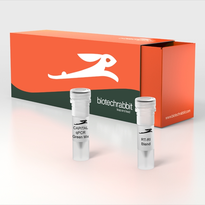 CAPITAL qRT-PCR Green Mix HRox, 4×