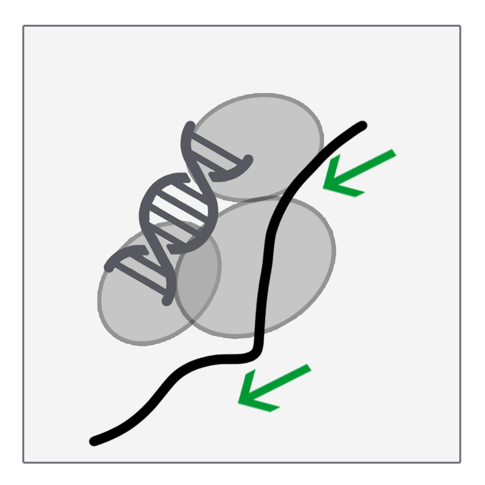RNA-Affinitätsaufreinigung