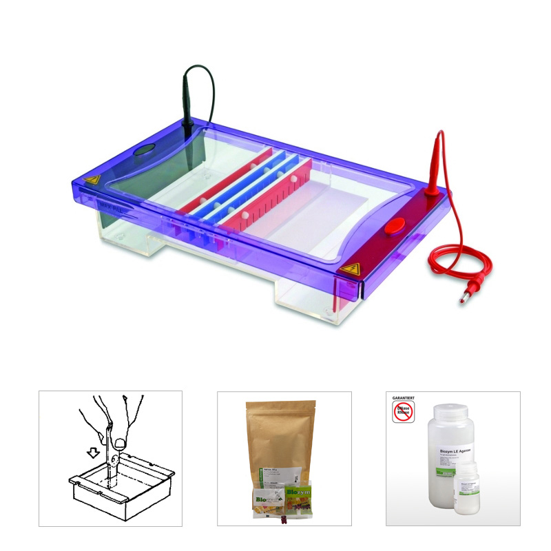 EasyPhor Maxi Gelelektrophorese Kammer 2 GT