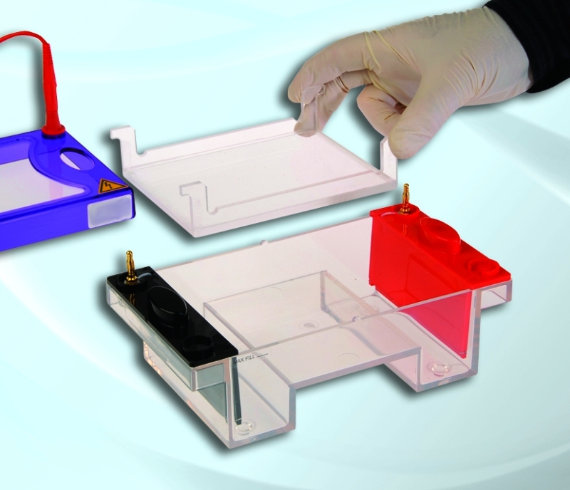 EasyPhor Midi96 Gelelektrophorese Kammer