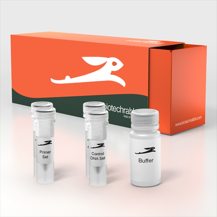 RTS 100 E. coli LinTempGen Set, His-tag