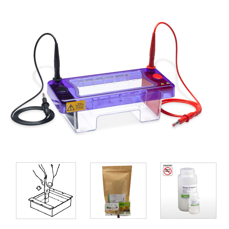 EasyPhor Mini Gelelektrophorese Kammer 2 GT