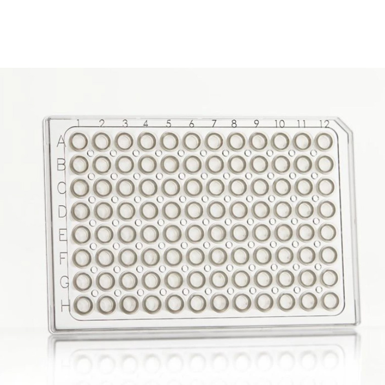 FrameStar 96 PCR Plate, clear Wells, clear Frame