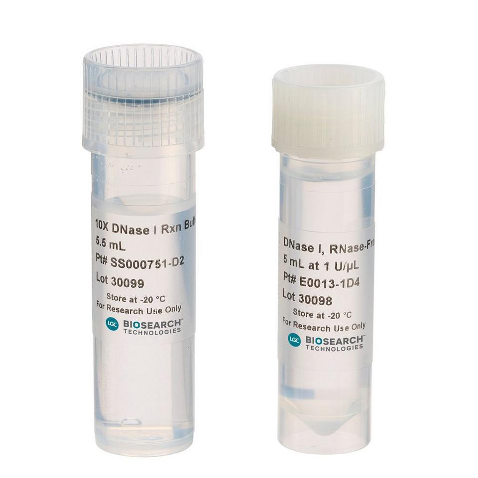 DNase I, RNase-frei, 1 U/µl