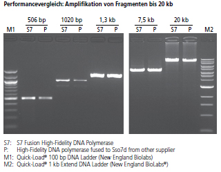 Performancevergleich: S7 Fusion High-Fidelity DNA Polymerase and High-Fidelity DNA polymerase fused to Sso7d from other supplier