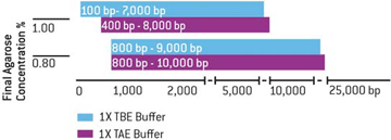 Trennverhalten SeaKem LE Agarose