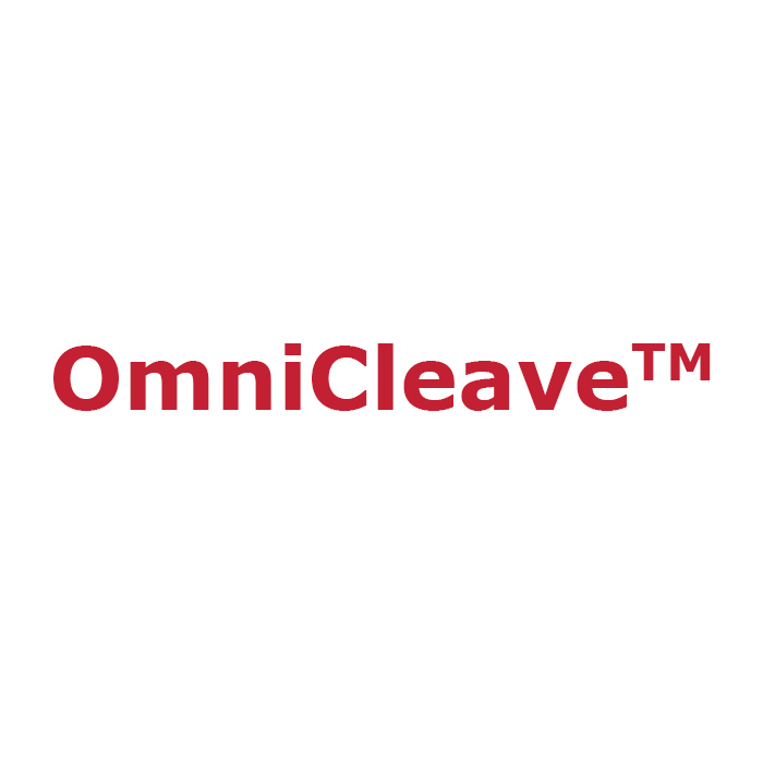OmniCleave Endonuklease, 200 U/µl