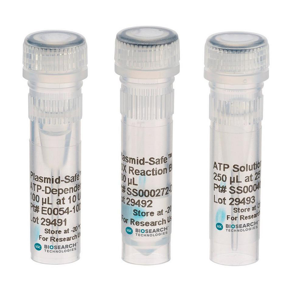 Plasmid-Safe DNase, 10 U/µl