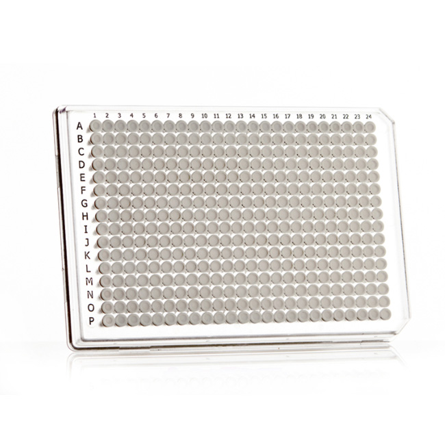 FrameStar 384 PCR Plate, white Wells, clear Frame