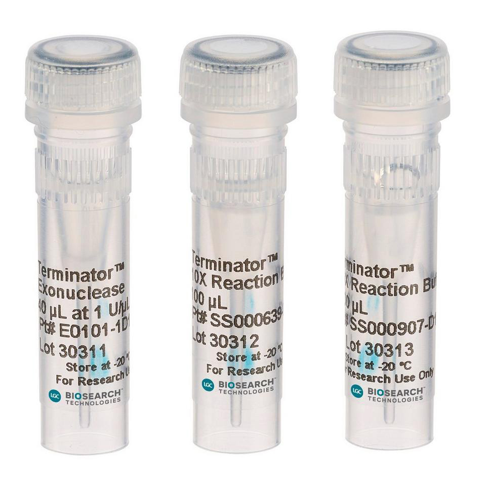 Terminator 5'Phosphate-Dependent Exonuclease