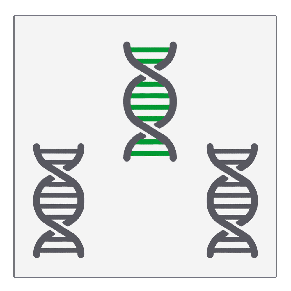 PCR