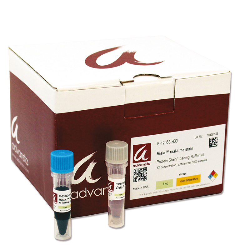Visio Real-time Protein Stain (für 10 Minigele)