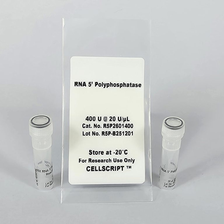 RNA 5' Polyphosphatase