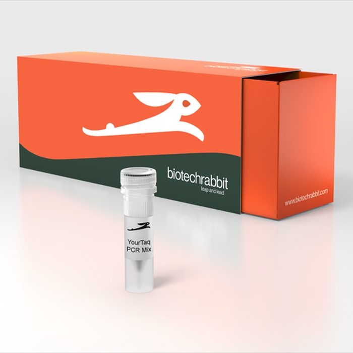 YourTaq PCR Mix, 2×