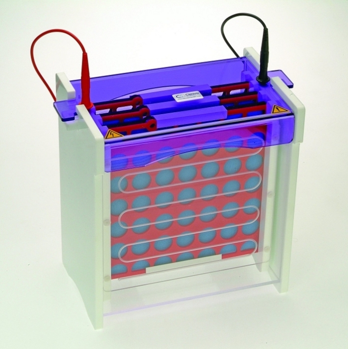 EasyPhor PAGE WetBlotter Maxi System 20x20 cm