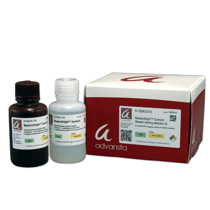 WesternBright Chemilumineszenz Substrat Quantum
