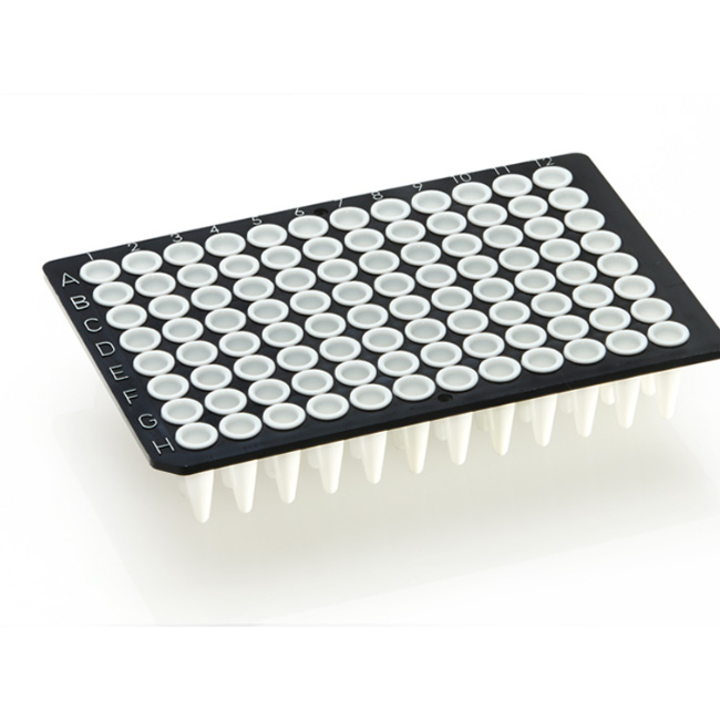 FrameStar 96 PCR Plate, white Wells, black Frame