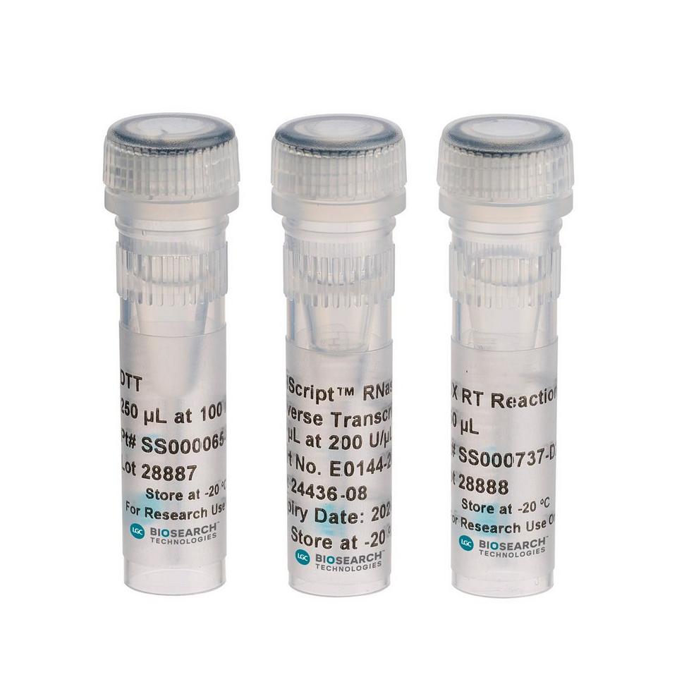EpiScript Reverse Transcriptase