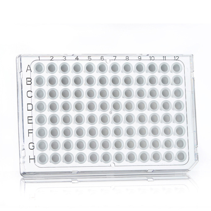 FrameStar 96 PCR Plate, clear Wells, clear Frame