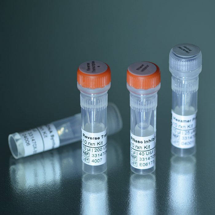 Biozym cDNA Synthesis Kit - All Priming Options
