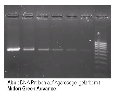 Midori Green Advance
