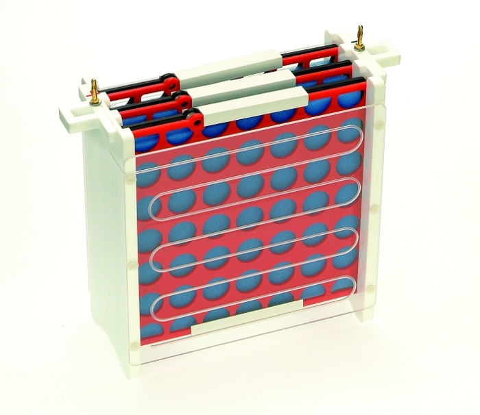 EasyPhor PAGE WetBlotter Maxi Modul