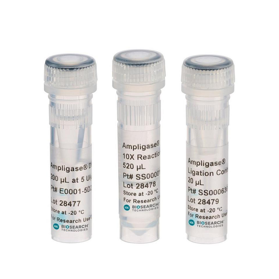 Ampligase DNA Ligase + Puffer, 100 U/µl