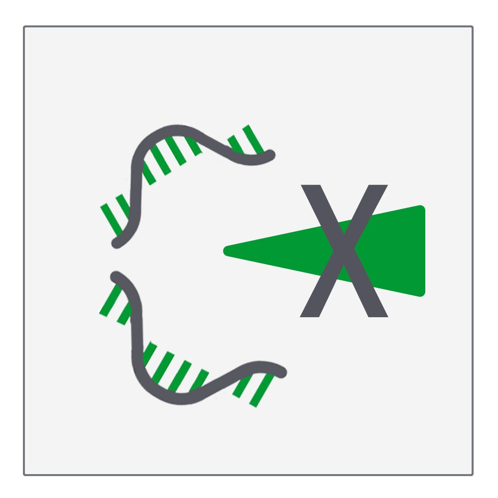 RNase Inhibitor