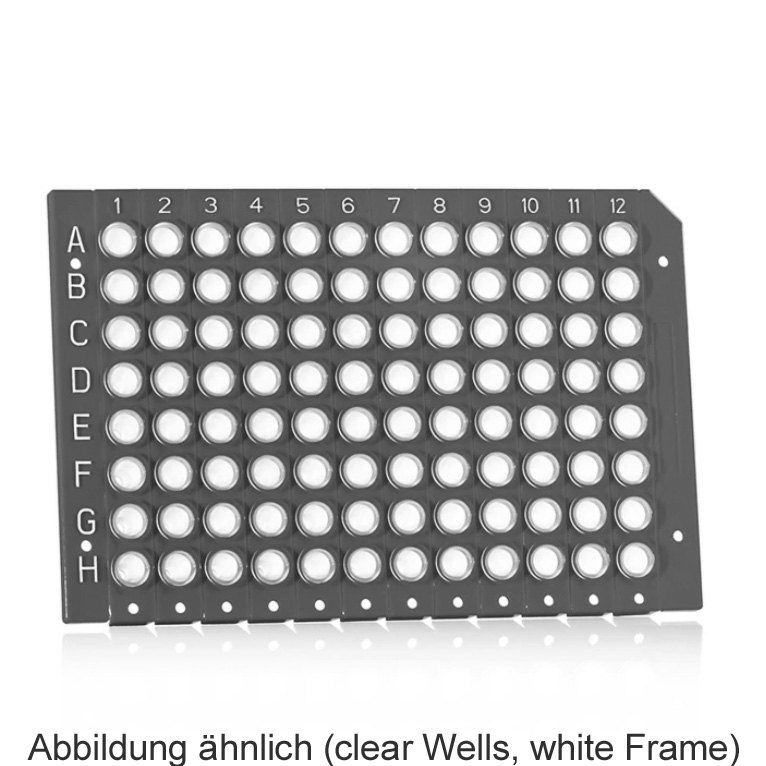 FrameStar 96 PCR Plate, clear Wells, black Frame