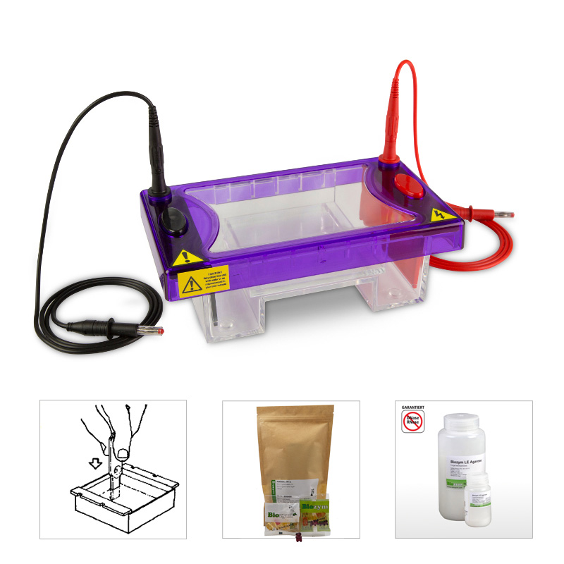 EasyPhor Midi Gelelektrophorese Kammer 2 GT