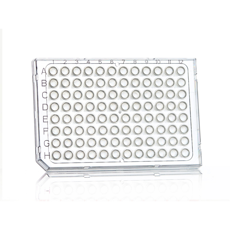 FrameStar 96 PCR Plate, clear Wells, clear Frame