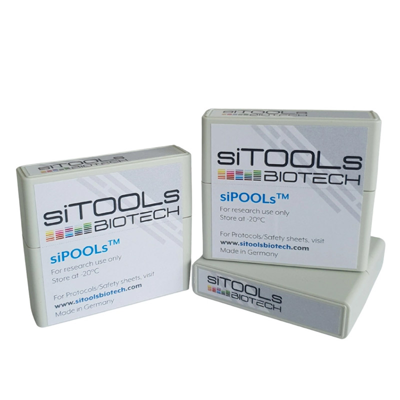 siPOOL human RNA Binding Protein library