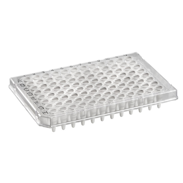 FrameStar 96 PCR Plate, white Wells, clear Frame