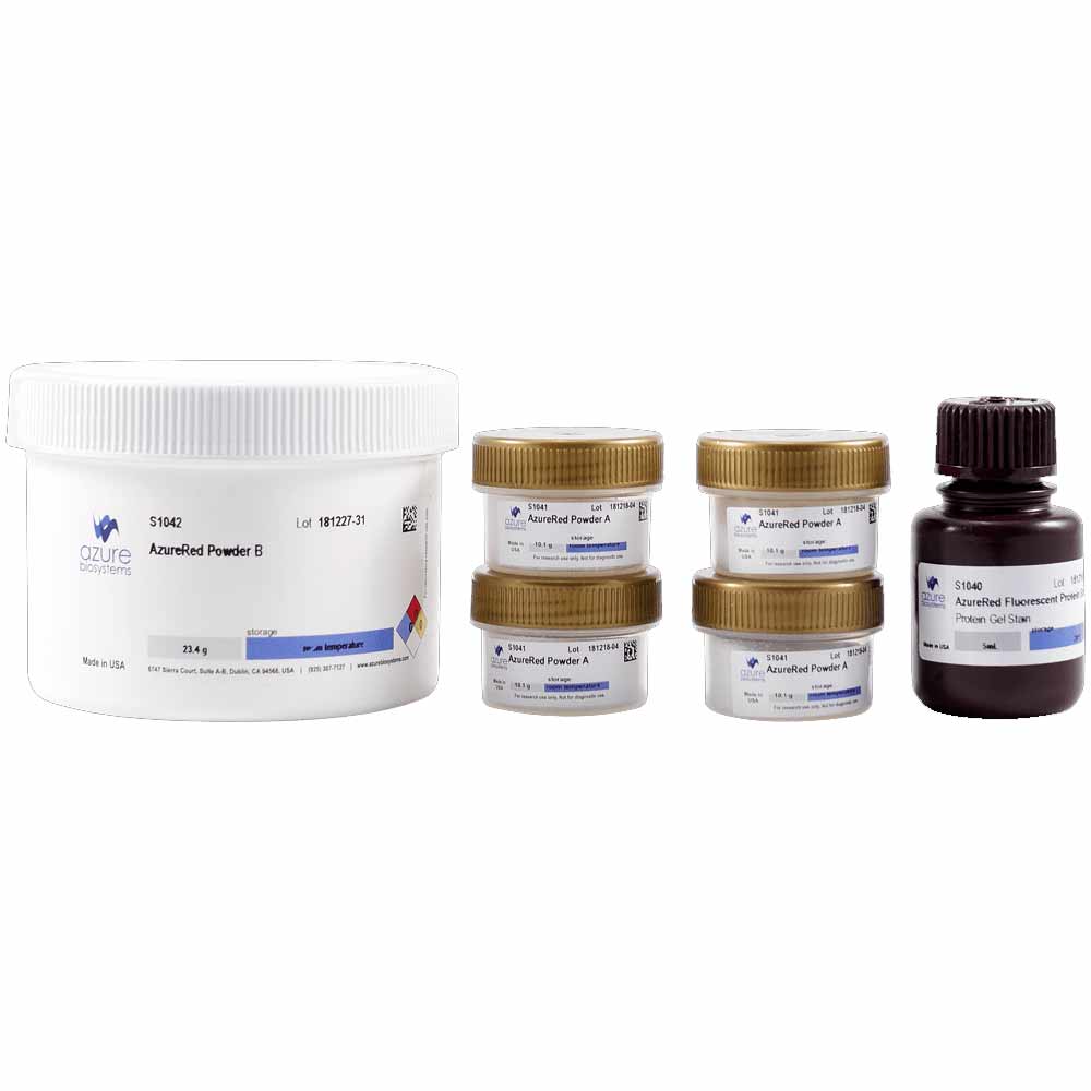 AzureRed Fluorescent Protein Stain